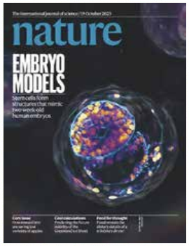 An extra-erythrocyte role OF haemoglobin Body inchondrocyte hypoxia adaption